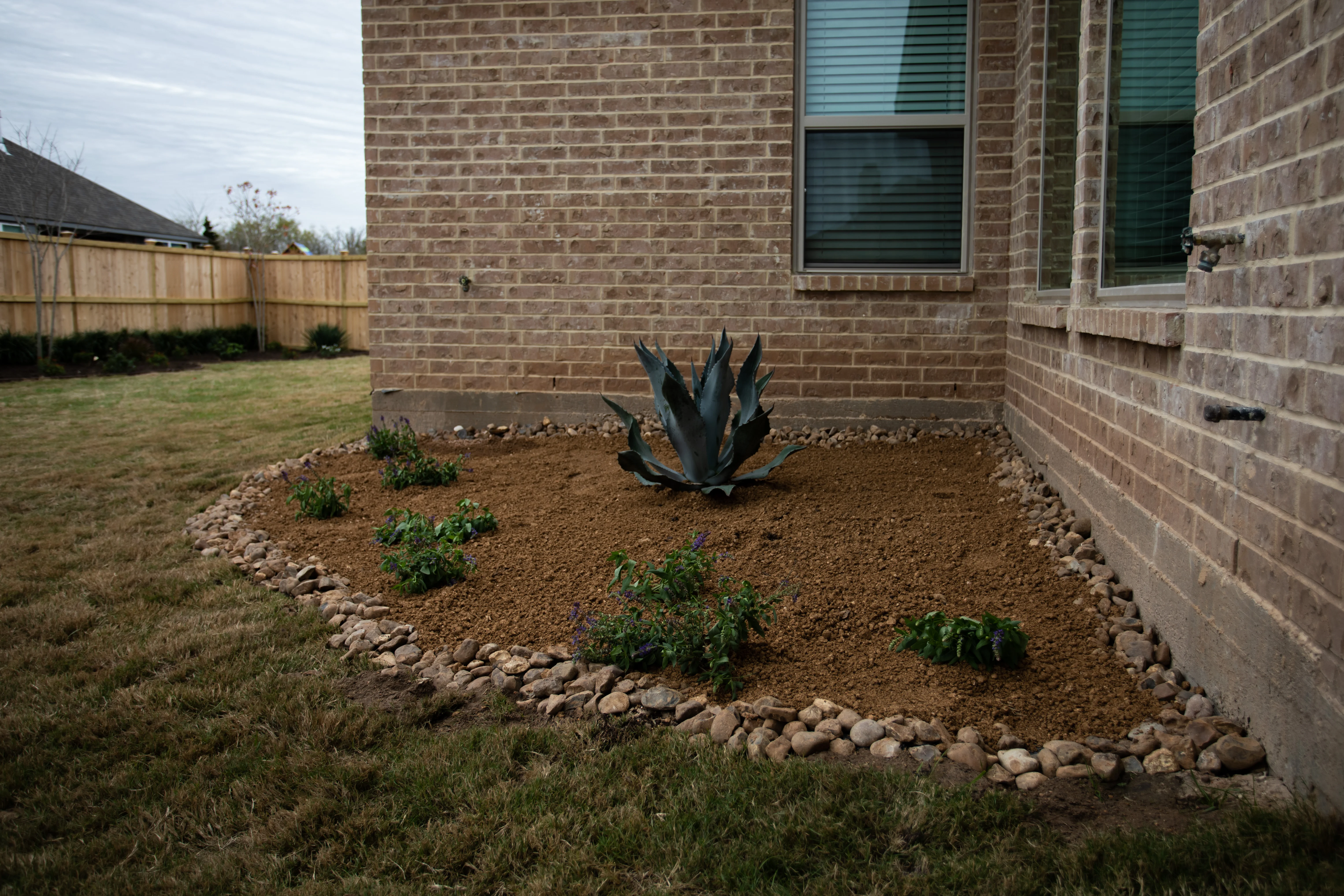 Brick home foundation with mulched planting bed, black agave centerpiece, and decorative rock border